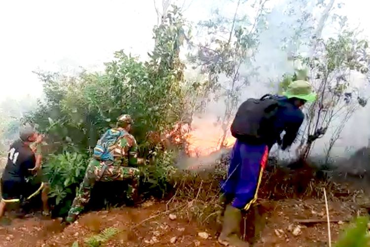 Ratusan warga Desa Sukowidi Kabupaten Magetan Jawa Timur naik ke atas hutan Gunung  Lawu  turut memadamkan api yang membakar hutan.