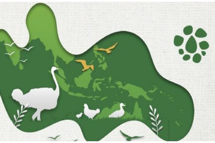 Ilustrasi burung Indonesia dilindungi