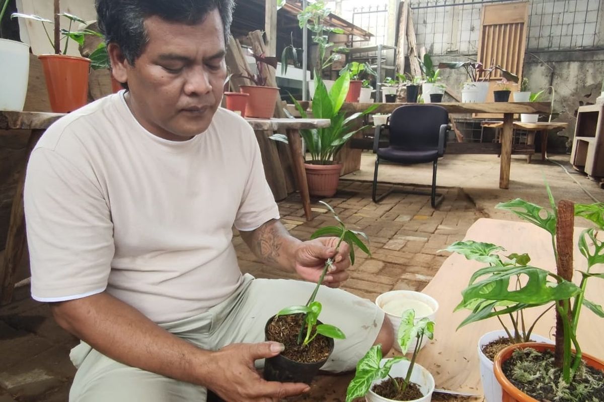 Mario (40), pedagang tanaman hias di Depok, Jawa Barat, memperoleh rumah Rp 500 juta di Garut, hasil barter dengan tanamannya.