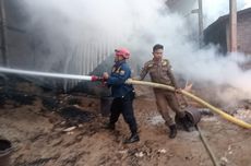 Kandang Terbakar, 11.000 Anak Ayam Terpanggang