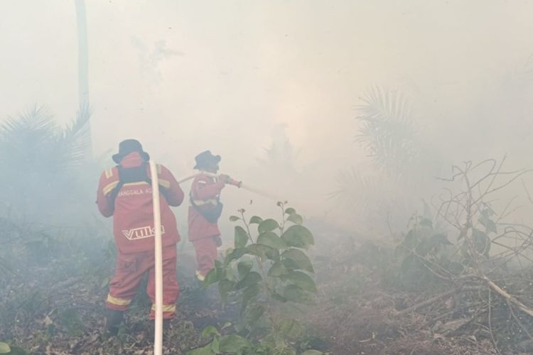 Tim Manggala Agni Bertaruh Nyawa, Padamkan Karhutla di Sarang Harimau Sumatera di Riau