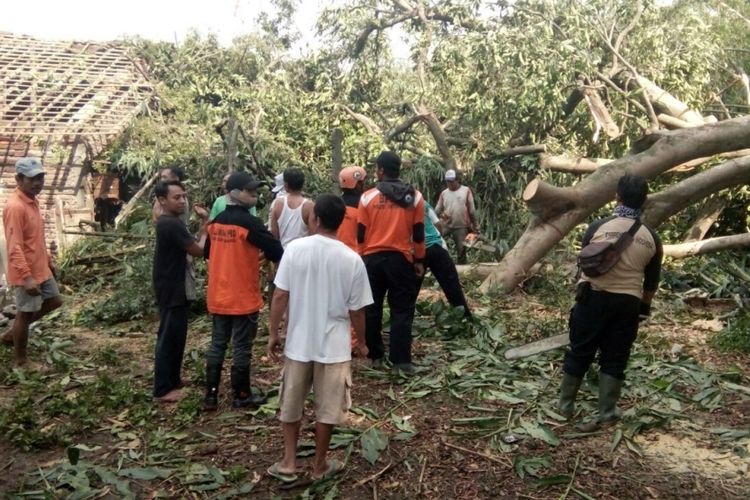 Pohon Beringin Berumur Seabad Di Makam Keramat Tumbang Timpa 3 Rumah 6233