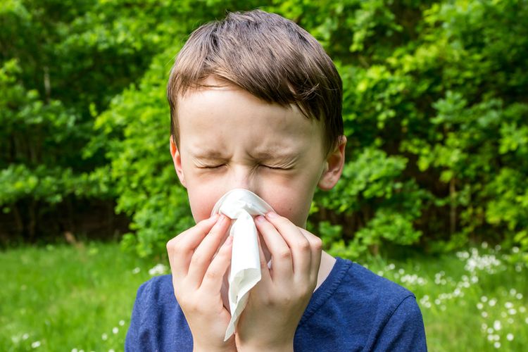 Apa Gejala Rhinitis Alergi pada Anak? Berikut Penjelasan Dokter...
