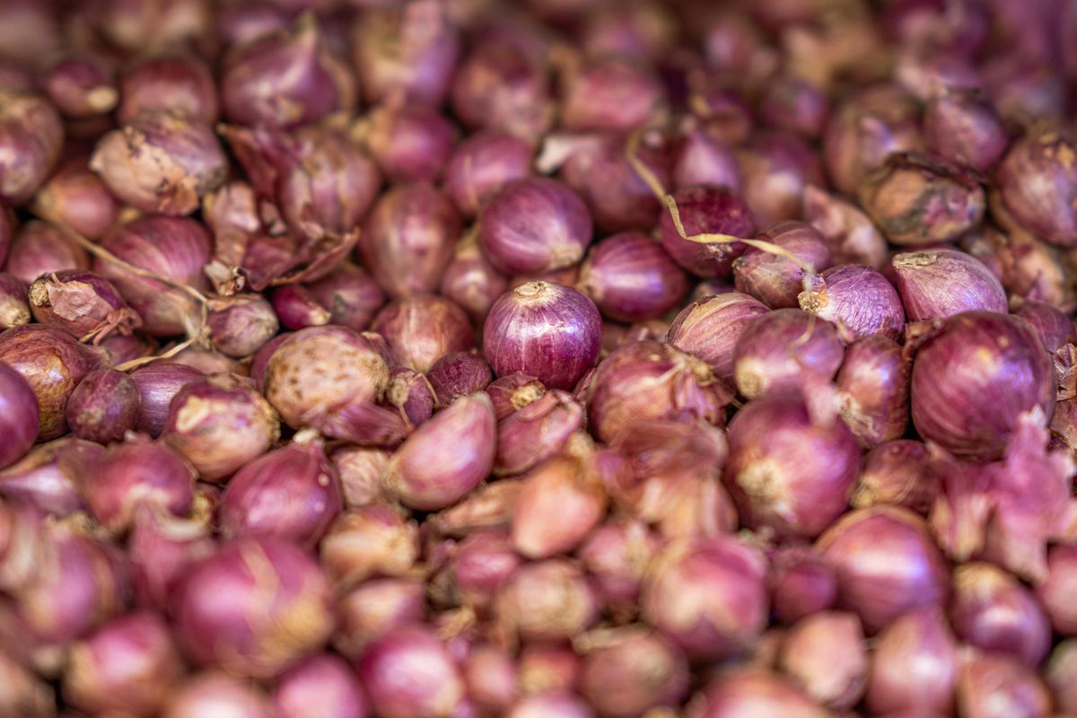 Ilustrasi apa manfaat makan bawang merah mentah untuk kesehatan?