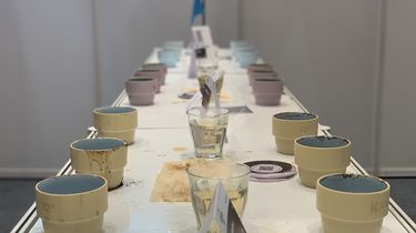 Pameran Kopi Indonesia Coffee Expo 2026 Hadir di 3 Kota, Ada Apa Saja?