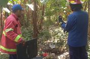 Bocah Korban Serangan Monyet Liar Keluar Rumah Sakit, Keluarga Masih Trauma