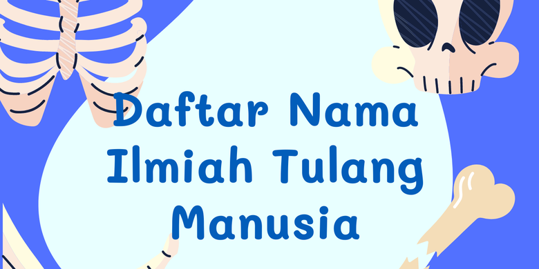 Bentuk Tulang Pengertian Fungsi Struktur Jenis Tengkorak