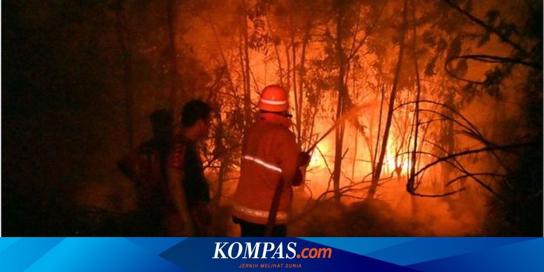 Karhutla Dari Kritik Aktivis Hingga Aksi Pemerintah Halaman All Kompas Com