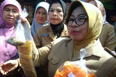 Sidak Makanan, Ditemukan Teri Medan Mengandung Formalin di Yogyakarta