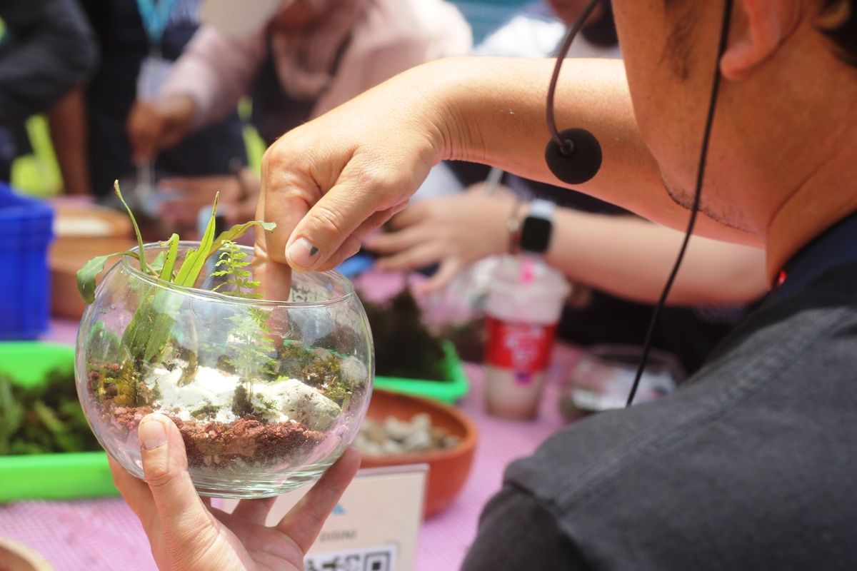 Kegiatan kelas edukasi membuat mini jungle atau ekosistem hutan tropis di dalam toples yang diikuti pengunjung Kebun Raya Cibodas, Cianjur, Jawa Barat.