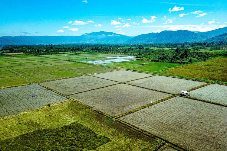 GHG Protocol rilis standar Land Sector and Removals untuk mengukur emisi dan penyerapan karbon dari sektor lahan.