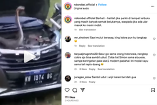 Video Ular Kobra Bersarang di Ruang Mesin Mobil