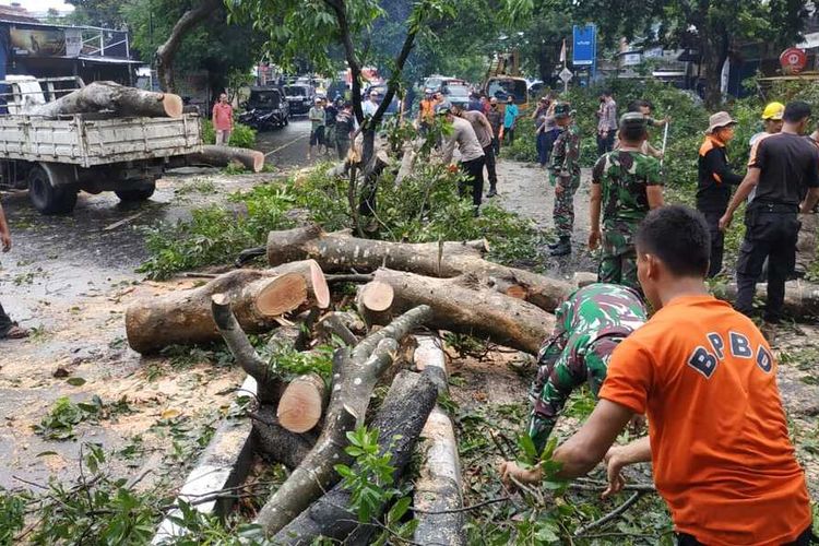 Petugas gabungan bergotong-royong membersihkan pohon tumbang di Jalan Sriwijaya, Kota Mataram.