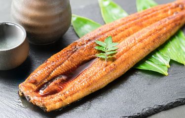 Apa Itu Unagi, Makanan Khas Jepang yang Mirip Belut?