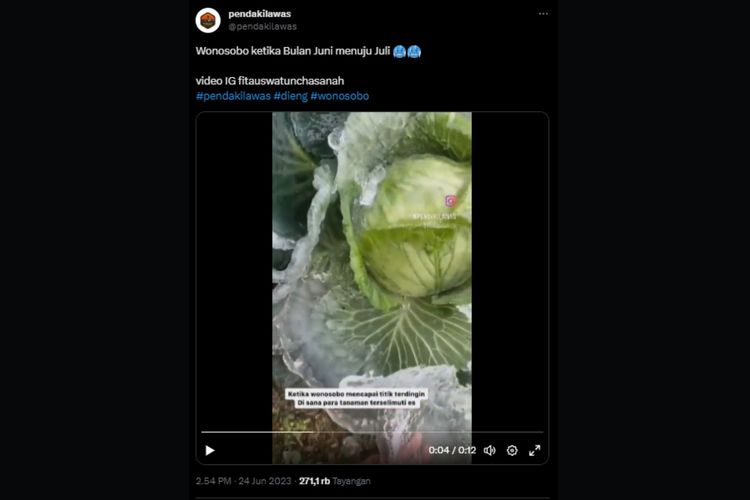 Unggahan video yang memperlihatkan sayuran kubis membeku yang disebutkan warganet terjadi di Kabupaten Wonosobo, Jawa Tengah, ramai di media sosial.