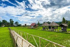Desa Wisata Tondok Bakaru Tawarkan Panorama Sawah dan Kebun Anggrek