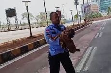 Bayi yang Ditinggalkan di Terminal Pulogebang Dibawa ke Panti Balita Cipayung