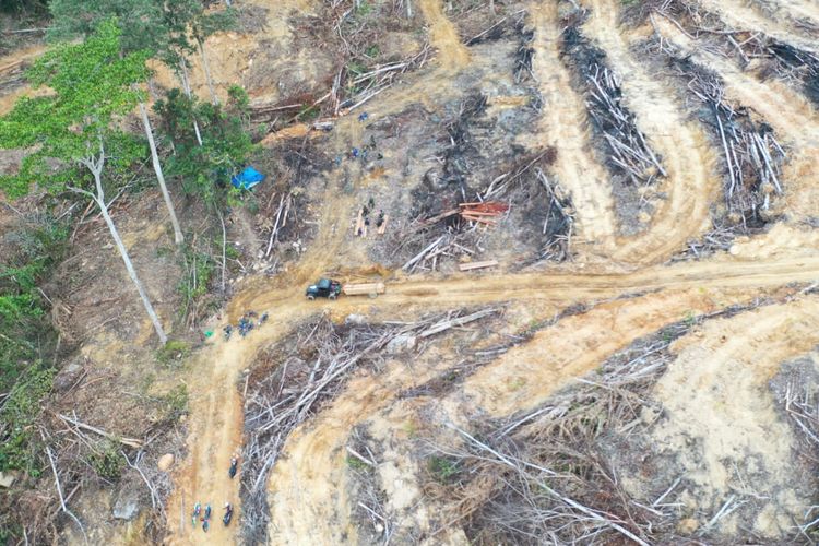 Foto udara kondisi hutan di Liang Bunyu, Pulau Sebatik, Nunukan, Kaltara akibat penebangan liar