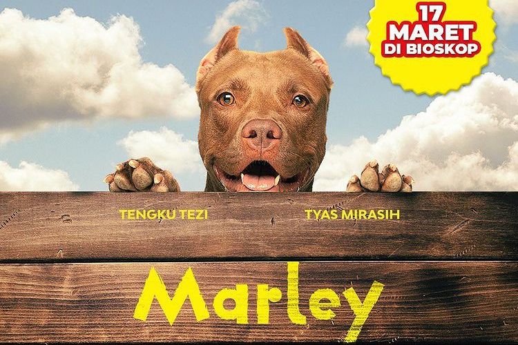 Film Marley.