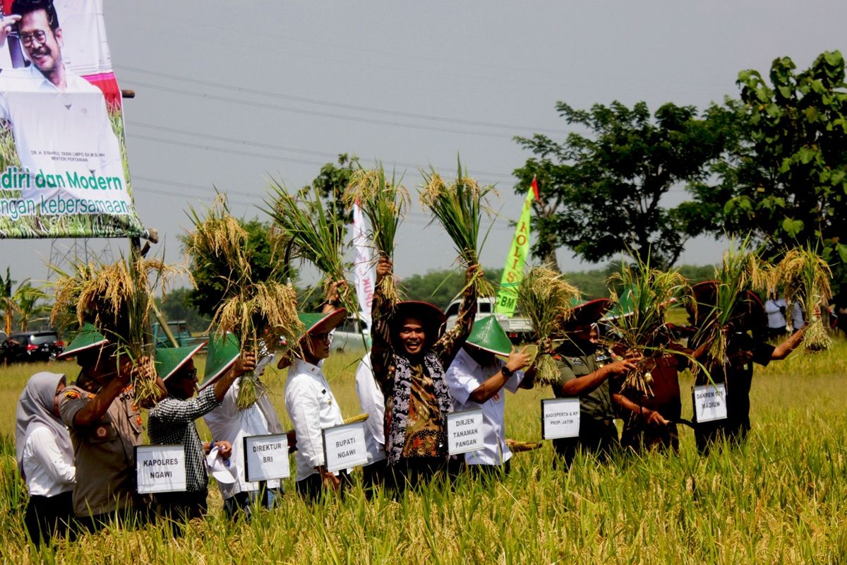 Dirjen Tanaman Pangan Kementrian Pertanian Suwandi saat panen raya di Kabupaten Ngawi. Bidik peningkatan nilai ekspor porang, Kementrian Pertanian Republik Indonesia akan meningkatkan kualitas bibit porang dengan kultur jaringan.