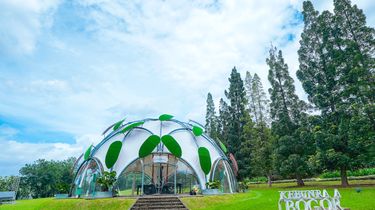 6 Ide Aktivitas Liburan di Kebun Raya Bogor, Bisa Ikut Kelas Edukasi