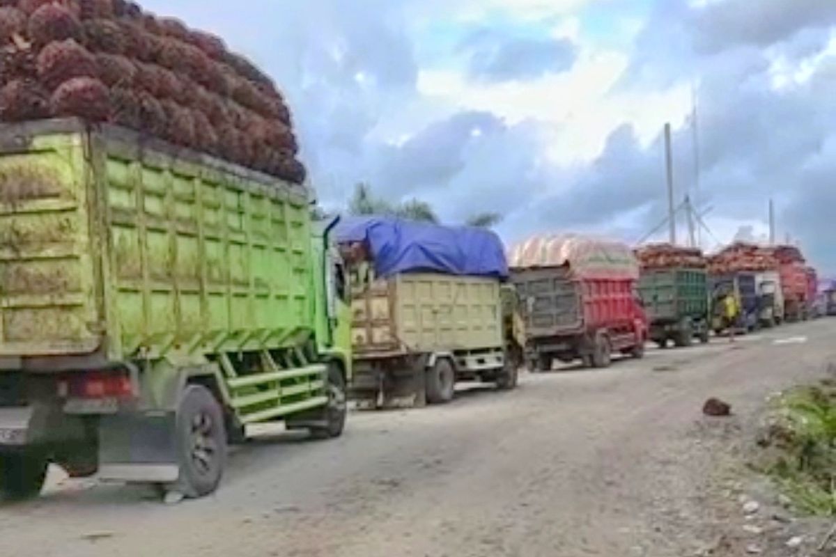 8 Pabrik pengolaan CPO di Provinsi Bengkulu tutup tidak menerima penjualan Tandan Buah Segar (TBS) sawit dari petani dengan alasan bak tampung penuh serta belum mendapat pembeli untuk ekspor.