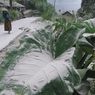 Pasca-hujan Abu Vulkanik Gunung Merapi, BPBD Boyolali Pastikan Tak Ada Warga yang Terkena ISPA