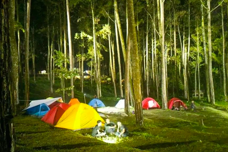 Aktivitas camping di wisata alam Sirah Pemali di Brebes, yaitu wisata mata air di tengah hutan pinus yang dilengkapi dengan beragam wahana dan fasilitas. 
