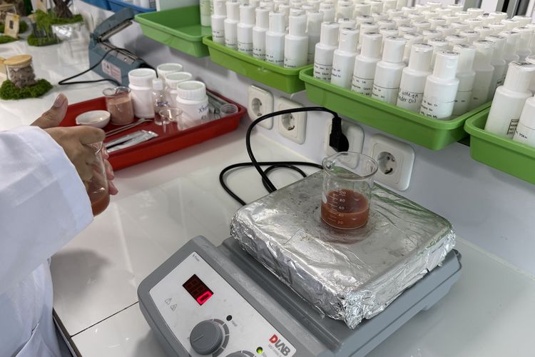 Proses pembuatan minuman berbahan kayu manis dalam bentuk cair menyerupai jelly.