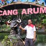 Melihat Patung Banteng Celeng di Dekat Rumah Ketua PDI-P Solo