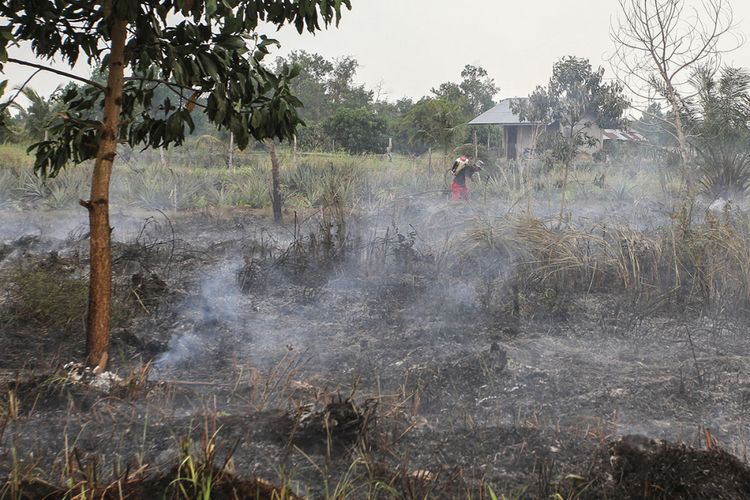 Warga berusaha membasahi lahan gambut agar api kebakaran lahan tidak merembet ke area kebun nanas di Pekanbaru, Riau, Senin (19/2/2018). Pemerintah Provinsi Riau menetapkan status Siaga Darurat Kebakaran Lahan dan Hutan mulai 19 Februari hingga 31 Mei mendatang, dipicu oleh eskalasi kebakaran khususnya di lahan gambut dibandingkan dengan tahun sebelumnya.