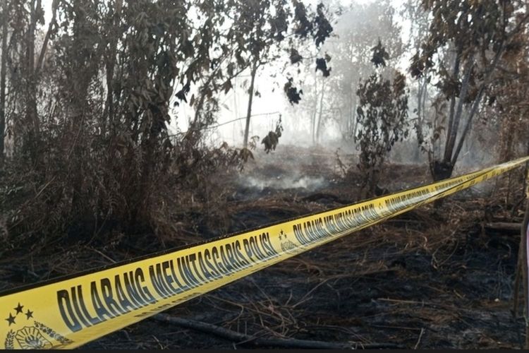 Tangkap 65 Tersangka Kasus Karhutla di Riau, Polisi: Kasus Perorangan