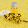 Mengenal Manfaat Witch Hazel untuk Kesehatan Kulit