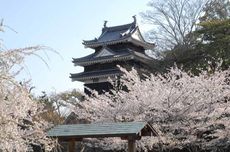 5 Tips Berwisata ke Aichi Jepang, Datang Saat Musim Sakura