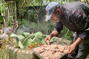 Teknik Masak Bawah Tanah ala Maori dan Papua Ternyata Mirip, Seperti Apa?