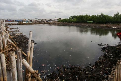 Teluk Jakarta Tercemar Parasetamol Konsentrasi Tinggi, DLH Uji Sampel