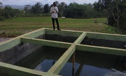 Antisipasi Kemarau Panjang, Kementan Persiapkan Manajemen Air