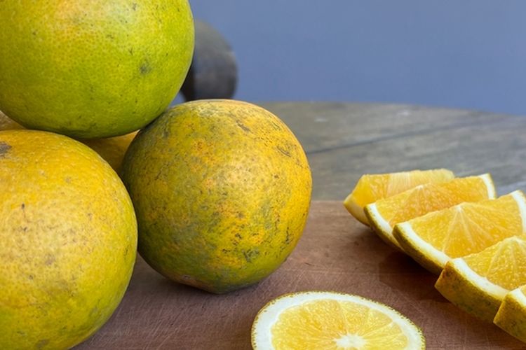 Ilustrasi jeruk baby pacitan.