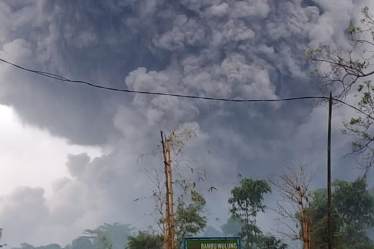 The hot cloud of avalanches that slid about 4.5 kilometers from the crater of Mount Semeru, East Java, Saturday (16/1/2021) due to the mountains seismic and volcanic activity starting to increase above normal levels.