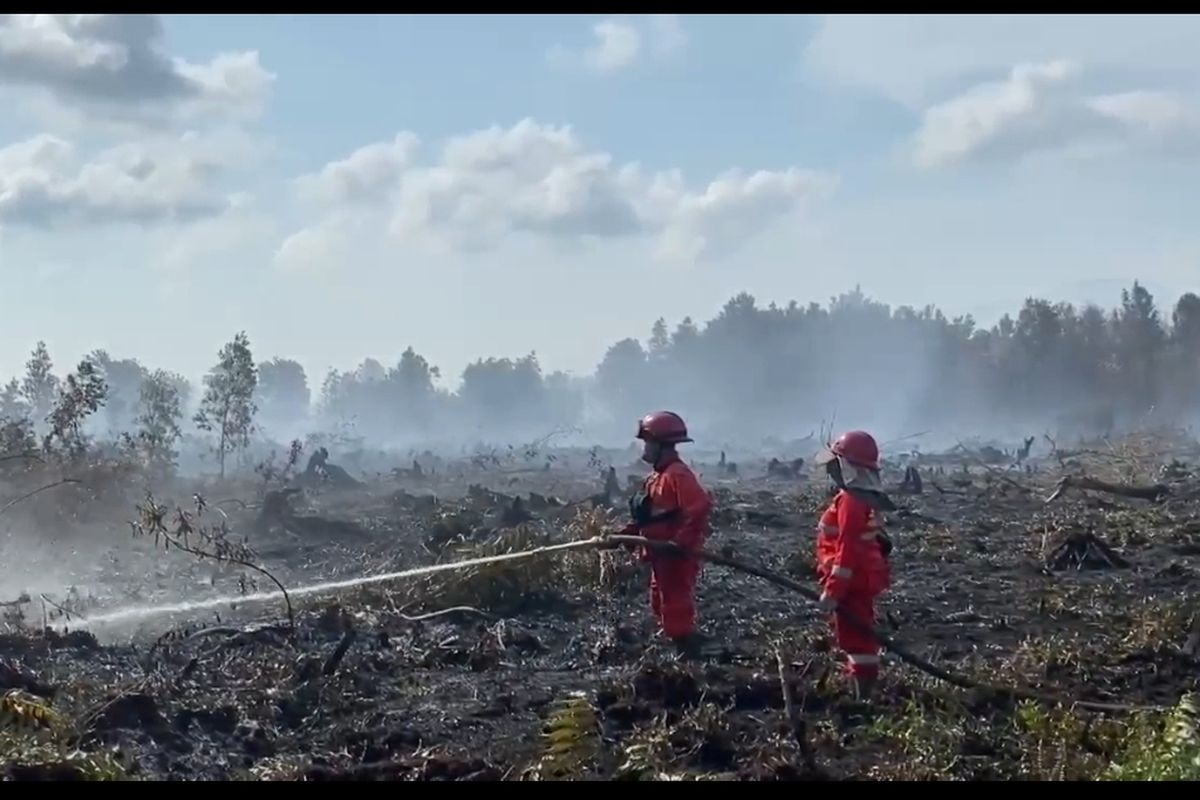 Petugas berusaha memadamkan karhutla yang terjadi di Kelurahan Sedau Kecamatan Singkawang Selatan Kota Singkawang, Rabu (23/7/2025). Jenis lahan gambut membuat proses pemadaman menjadi sulit.