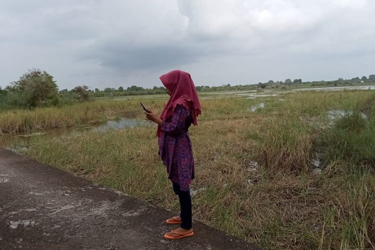 Guru Sekolah Dasar di Jambi, Kamariah harus mendaki bukit dan pergi ke tengah sawah untuk mencari sinyal dengan kualitas baik. Tampak Kamariah saat berada di tengah sawah yang sedang banjir