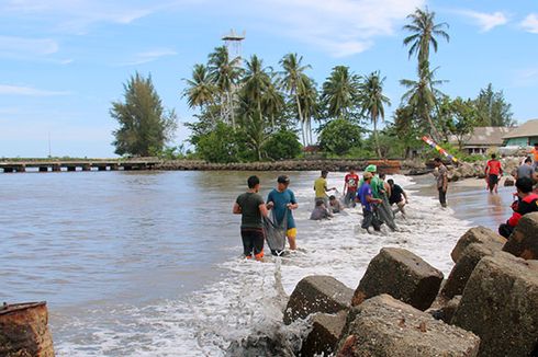 Pemprov Aceh Temukan Tumpukan Batubara di Laut Suak Indrapuri