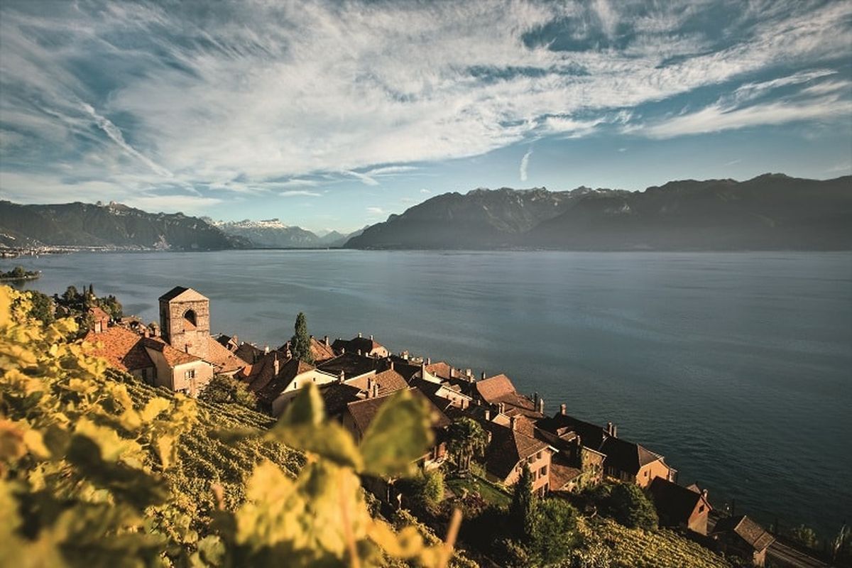 Kebun anggur Lavaux dengan pemandangan Danau Janewa 