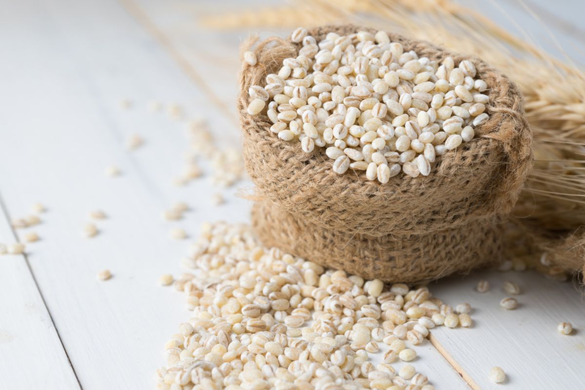 ilustrasi barley, pengganti nasi untuk penderita diabetes. 