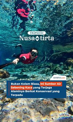 Bukan Kolam Biasa, Ini Sumber Air Sebening Kaca yang Terjaga Alaminya Berkat Konservasi yang Terpadu