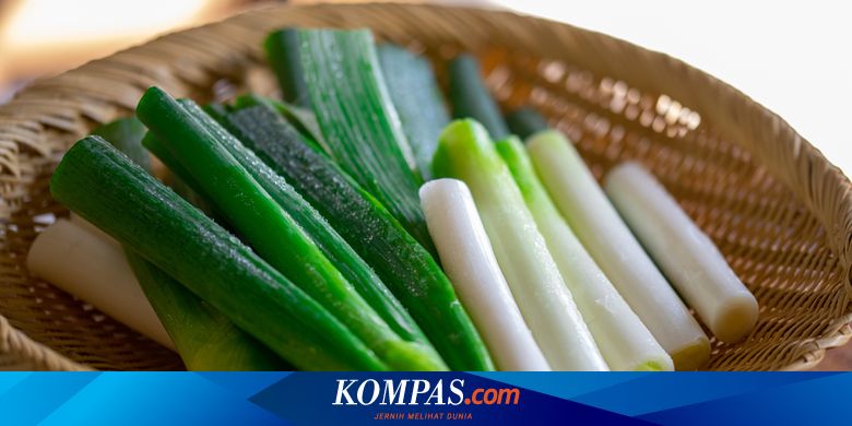 Cara Mudah Menanam Daun Bawang Sisa Dapur Dengan Air