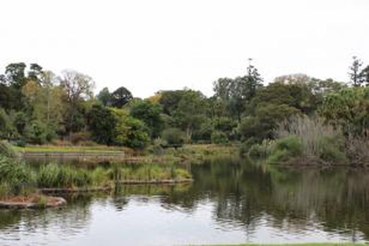 Lake at the Botanic Garden Melbourne