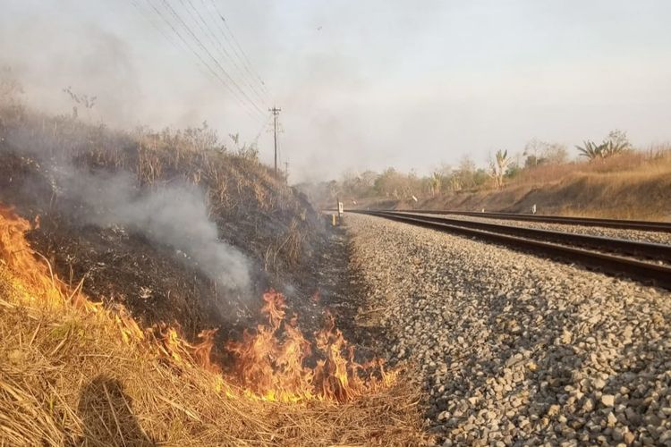 KEBAKARAN—Kebakaran terjadi di area dekat jalur kereta api di di Km 137+9  sampai dengan 138+0 antara Stasiun Bagor – Saradan, Selasa (15/8/2023). Kondisi mengakibatkan kedatangan kereta terlambat lantaran harus dilakukan pemadaman terlebih dahulu.