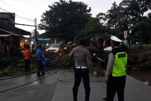 Pohon Tumbang Menimpa Mobil di Jalan Pajajaran Pamulang