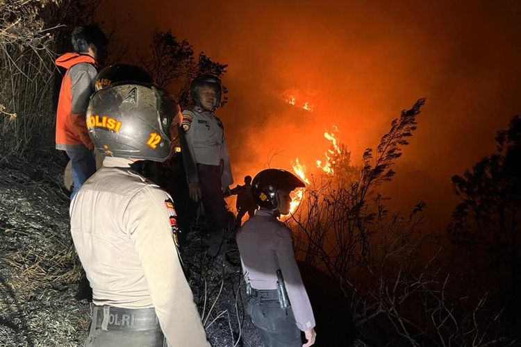 Saat petugas gabungan melakukan pemadaman kebakaran di Gunung Sumbing, Wonosobo, Jawa Tengah (Jateng).